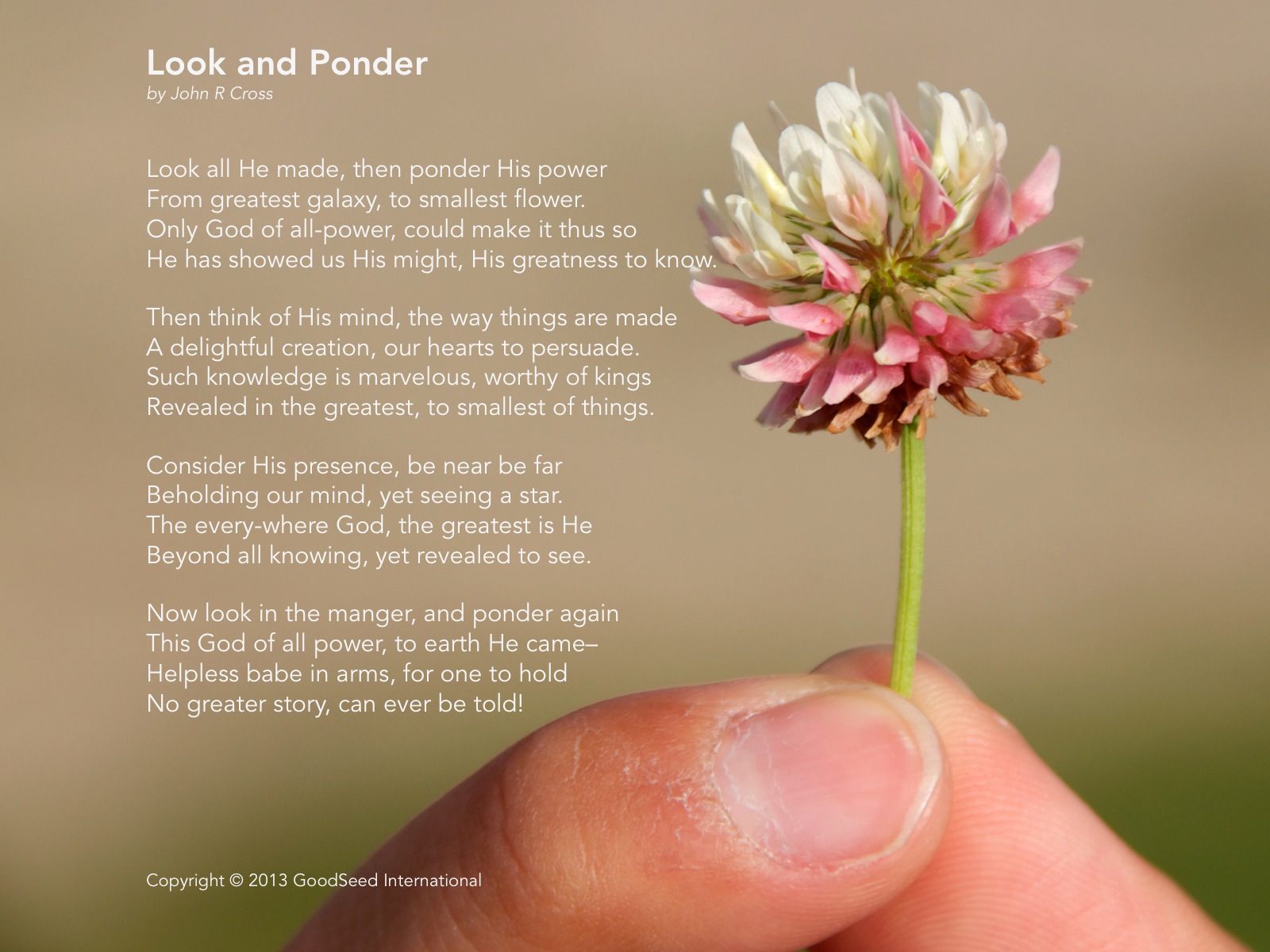 Look and Ponder by John R Cross