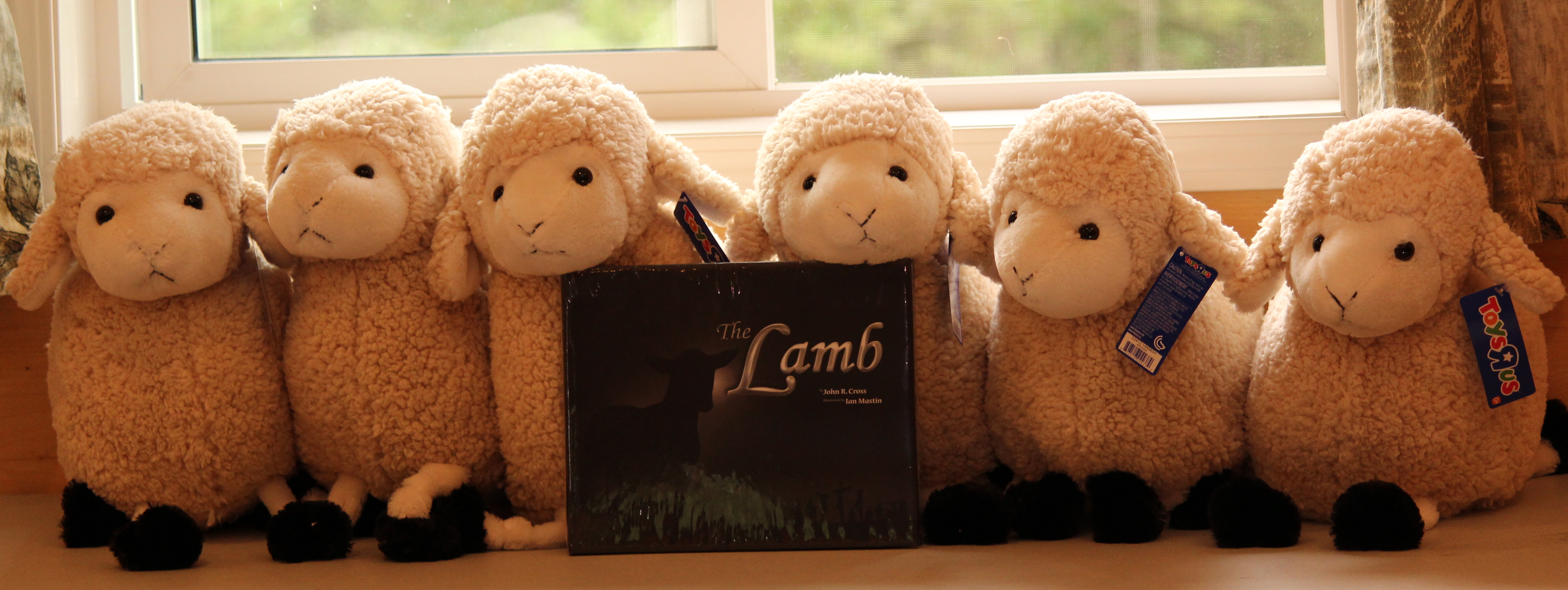 The Lamb at a children’s camp The GoodSeed Blog