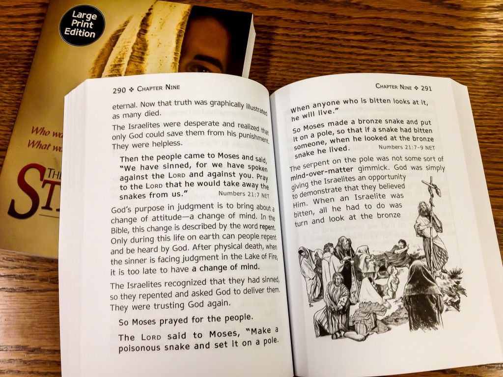 The Stranger on the Road to Emmaus (Large Print Edition)