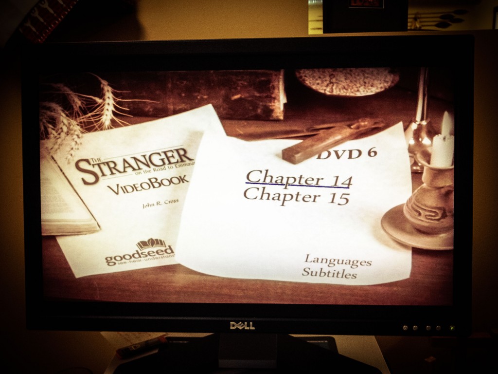 The Stranger Videobook