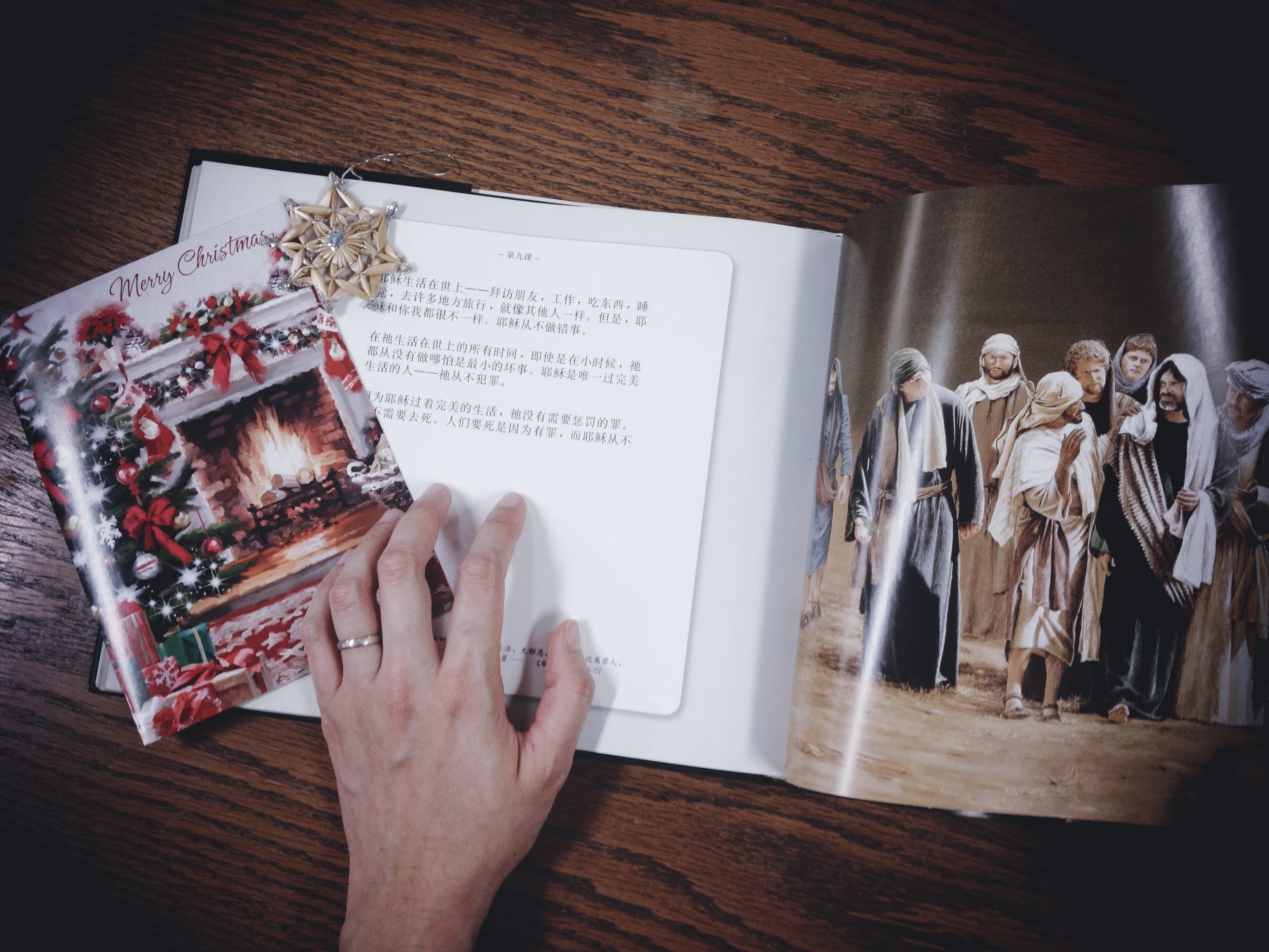 The Lamb - Chinese Edition