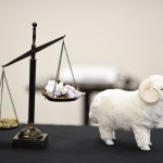 TERM Seminar in Coeur d'Alene, ID